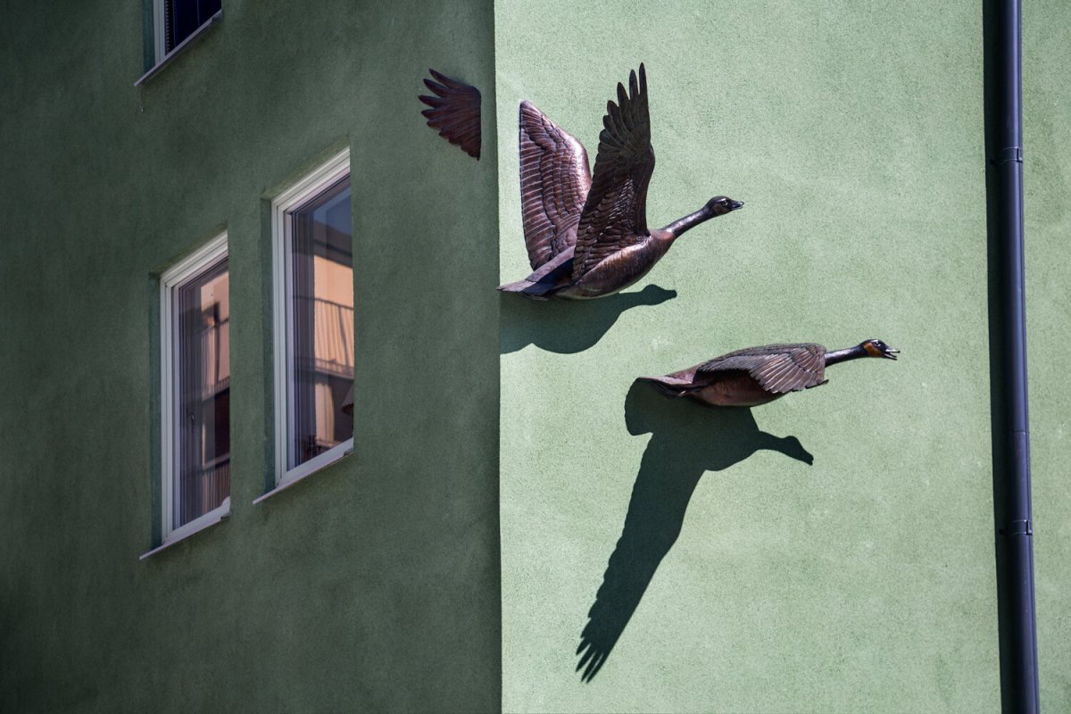 Flygande gäss på fasaden av Kent Ullberg